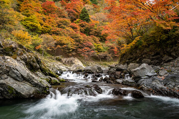 渓流と紅葉