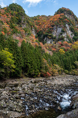 色づく渓谷