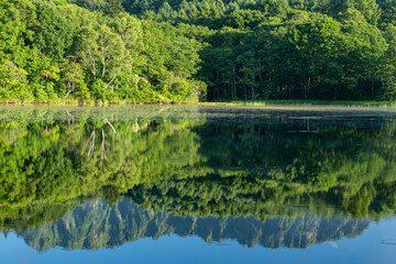 新緑が映える湖