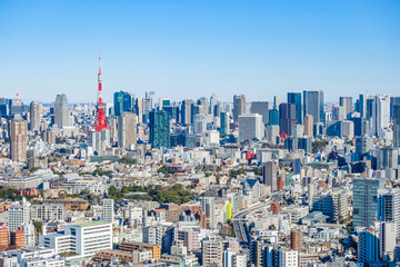 Fototapeta na wymiar 日本の首都の東京