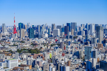 Obraz premium 日本の首都の東京