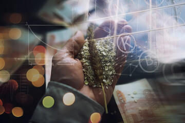 The concept of the cost of grain. 5000 ruble banknotes around a handful of ground grain. World hunger.