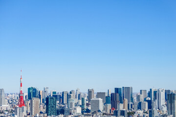 Naklejka premium 日本の首都の東京