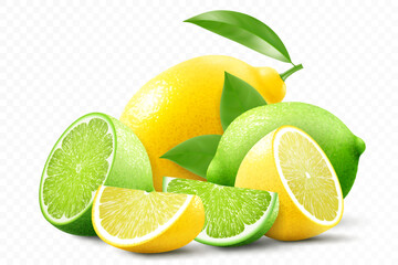 Lime and lemon composition. Fresh citrus fruits. Whole, halves and slices fruits. Realistic 3d vector illustration