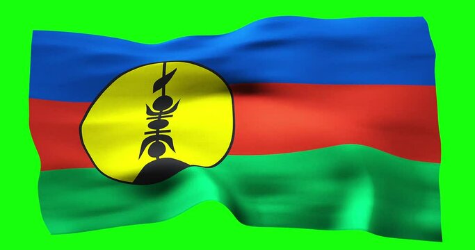 Flag of Front de Liberation National Kanak Socialist realistic waving on green screen. Seamless loop animation with high quality