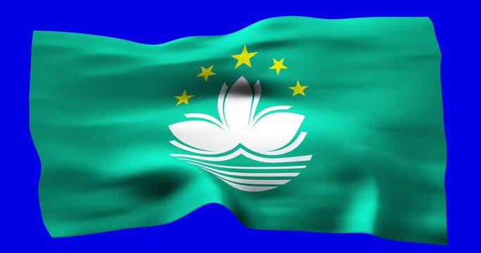 Flag of Macau realistic waving on blue screen. Seamless loop animation with high quality