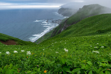 雲が湧く花の島