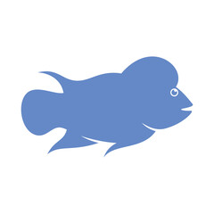 Louhan fish illustration