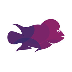 Louhan fish illustration