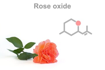 Simplified formula icon of rose oxide. Component of rose scent.