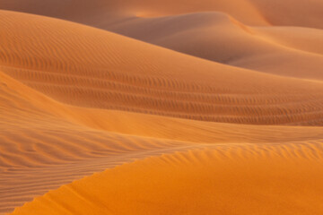 Close up of the ridge of desert dunes, with wavy patterns drawn by the wind
