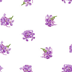 Fototapeta na wymiar Lilac flower isolated on white background, SEAMLESS, PATTERN
