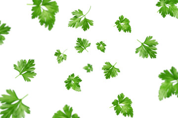 Falling Parsley isolated on white background, selective focus