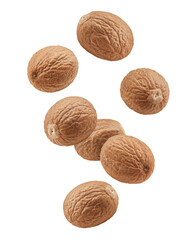Falling Nutmeg isolated on white background, clipping path, full depth of field