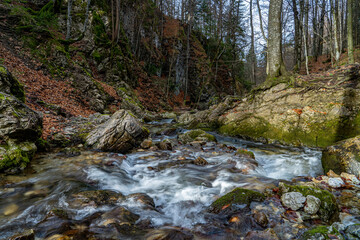 Die Josefsthaler Wasserfälle im herbstlichen Gewand