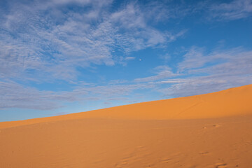 Beautiful sand dunes in the Sahara desert.