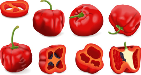 Set with whole, half, quarter, slices of Rocoto peppers. Locoto peppers. Rocote peppers. Chili pepper. Vegetables. Vector illustration isolated on white background.