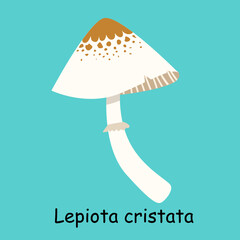 A flat vector of a poisonous mushroom isolated on a blue background.