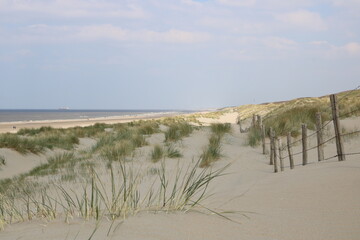 Fototapeta na wymiar Weite Sanddünen am Meer an der Nordsee in Holland in Noordwijk