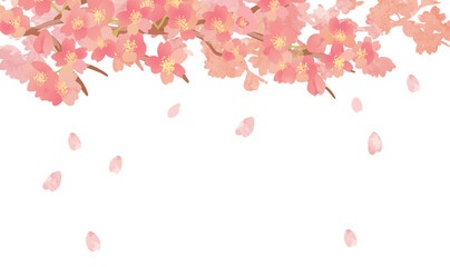 桜　優しい春の背景イラスト
