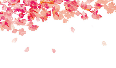 桜　優しい春の背景イラスト
