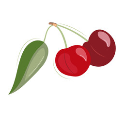 Cherry, two red berries with a leaf. Isolated fruits on a white background. Flat vector illustration in cartoon style.