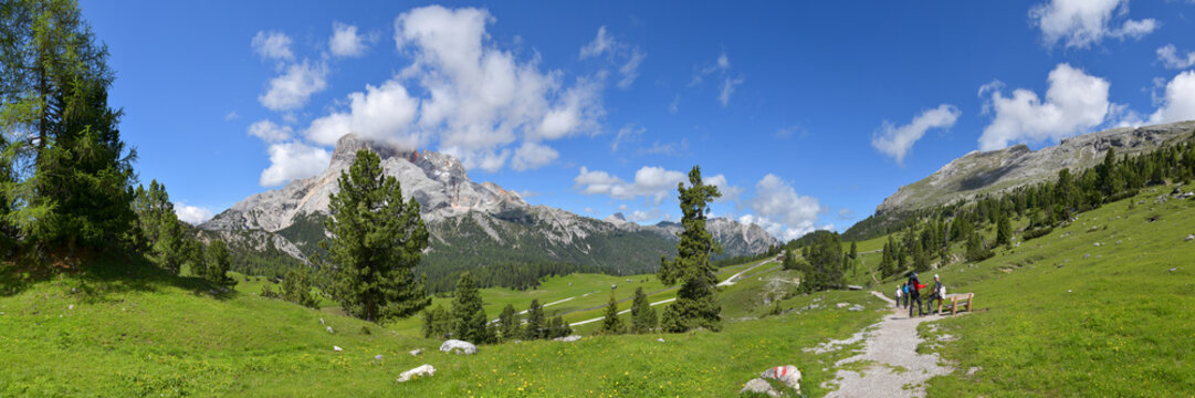 Sommer-Landschaft an der Plätzwiese in Südtirol