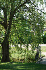 Bridge over the gravel.