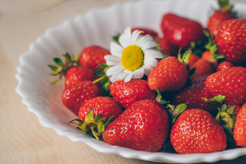 Strawberries on a plate with daisies. First spring healthy red berry closeup
