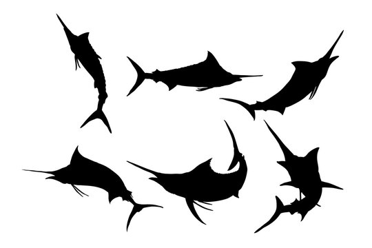 Set of silhouettes of marlin fish vector design