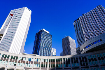 Fototapeta na wymiar 晴れ渡った西新宿 都庁通りから新宿超高層ビル群