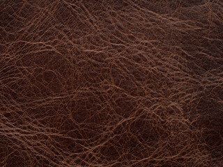 Genuine luxury dark brown vintage leather texture sample. Textured backdrop or background effective for design, upholstered furniture, clothing industry with place for text. Faux eco leather.