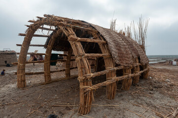 Traditional Iraqi reed house under construction, known as a Mudhif and built from natural materials...