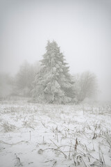 Winterlandschaft Rhön- Winterwanderung auf der Langen Rhön 14