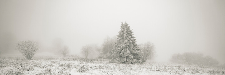 Winterlandschaft Rhön- Winterwanderung auf der Langen Rhön 13
