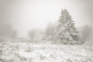 Winterlandschaft Rh&ouml;n- Winterwanderung auf der Langen Rh&ouml;n 12