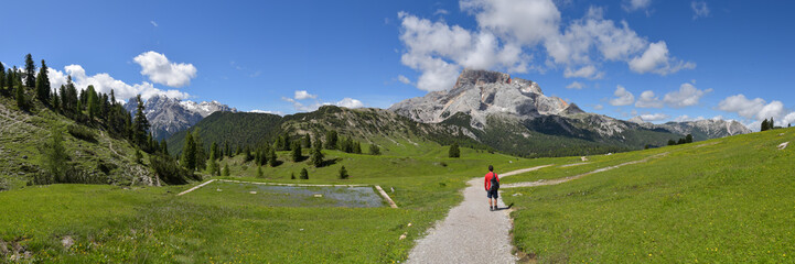 Fototapeta na wymiar Wanderweg auf der Plätzwiese in den Dolomiten / Südtirol