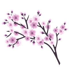 Sakura branch in bloom.isolated on a white background.Vector illustration of a cherry tree branch.