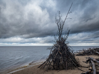 A wigwam made from trees after storm on coastline. Stormy clouds in background. © Gatis