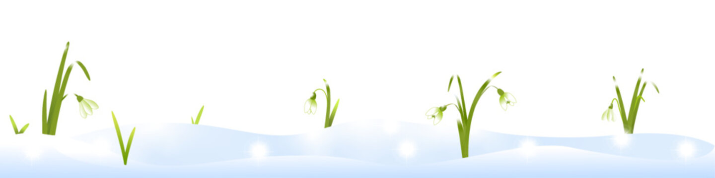Schneegl&ouml;ckchen, Fr&uuml;hling, Banner