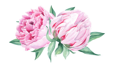 Watercolor peonies bouquet isolated on white background. Hand painted pink flowers and green leaves. Can be used for greeting cards, wedding invitations, save the date, fabric prints.