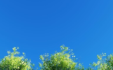 grass and blue sky