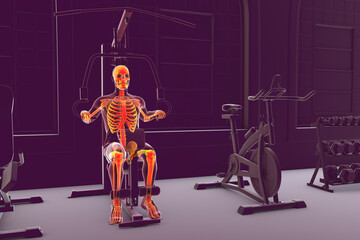 Man with highlighted skeleton training on hammer strength macine, anatomical 3D illustration