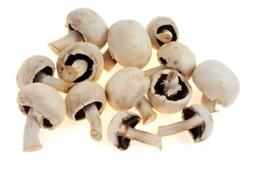 Champignons de Paris crus en gros plan sur fond blanc