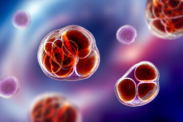 Prototheca wickerhamii algae, 3D illustration. Causes infection in human protothecosis seen as skin nodules