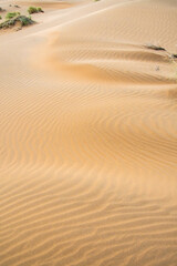 Texture of sand dunes as background top view