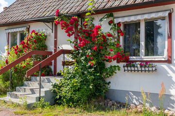 Fototapeta na wymiar A beautiful private house in Europe in summer, entrance decorated with flowers. European architecture, vintage.