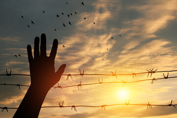 Holocaust Remembrance Day. January 27. silhouette of hand with barbed wire on background of sunset...