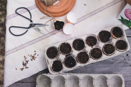 High angle view of mud in egg shells with scissors and spool with napkin on table