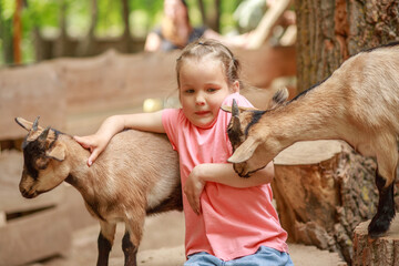 A little girl in a petting zoo plays with goats, the child was frightened of the animal, fear on...